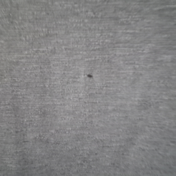 Perfect T - Picture 3 of 3